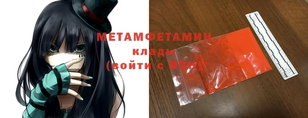 гидра Богородск