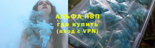 гидра Богородск