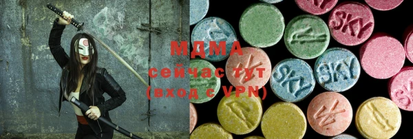 гидра Богородск