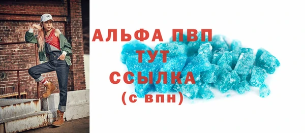 гидра Богородск