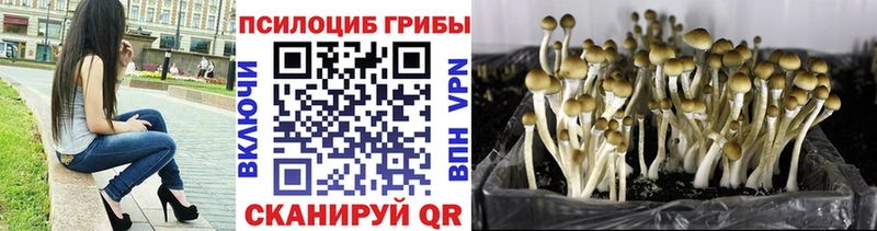 Псилоцибиновые грибы мицелий Балахна